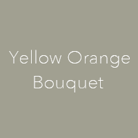 Yellow Orange